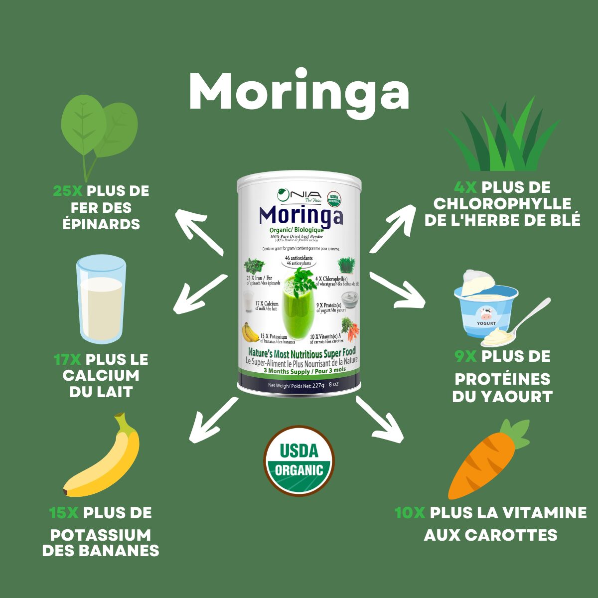 Poudre biologique de feuilles de Moringa Oleifera -100g - Image 3