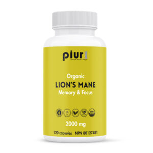 Nouveau! Crinière de lion BIO