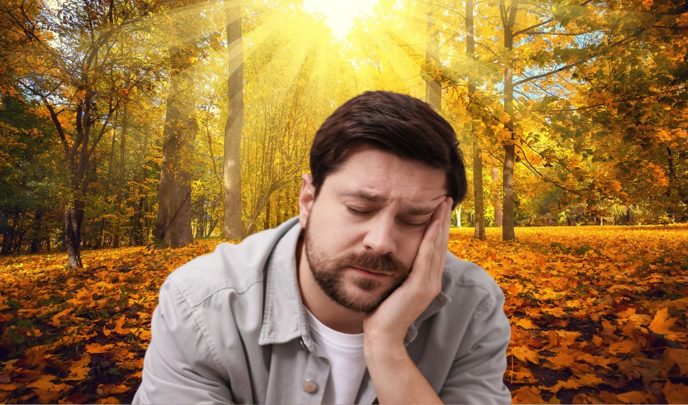 , Fall Fatigue: Could Your Liver and Gut Health Be Connected?, Nia Pure Nature