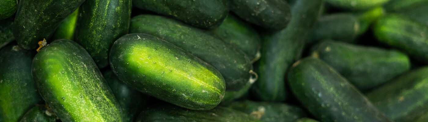 Organic cucumber header image